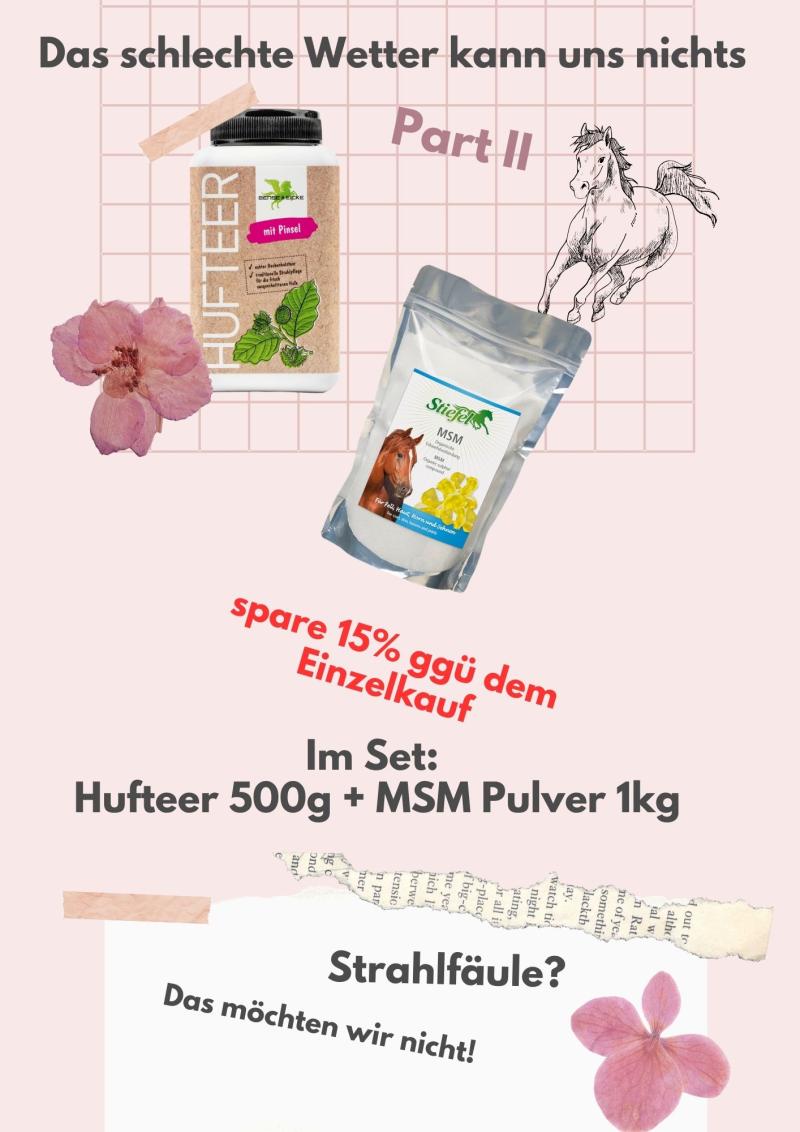 Bense & Eicke Hufteer mit Pinsel 500 g & Stiefel MSM Pulver 1kg